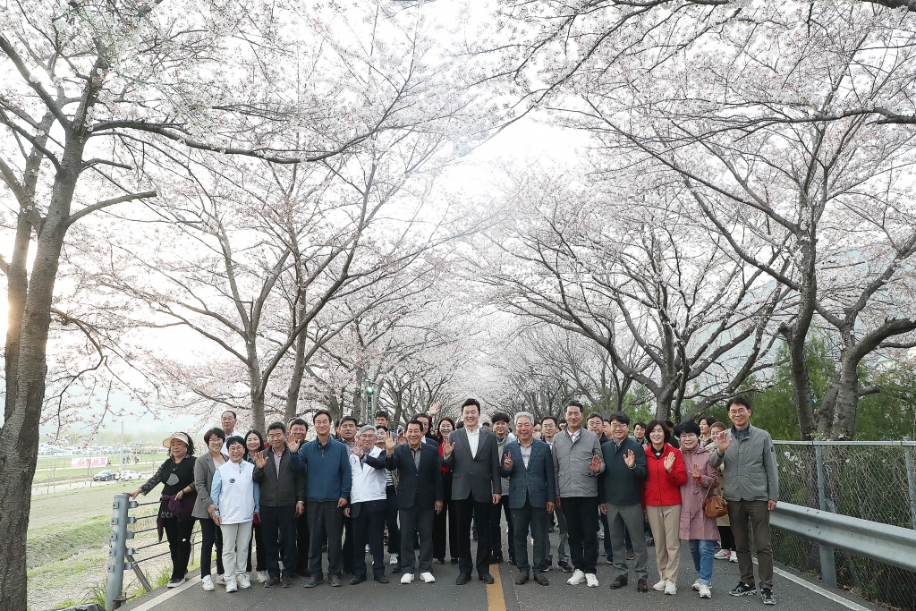 2023년 물금읍 황산공원 벚꽃길축제 이미지(3)