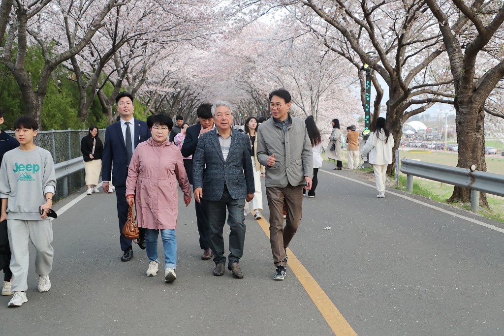 2023년 물금읍 황산공원 벚꽃길축제 이미지(6)