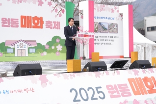2025 원동매화축제 대표이미지