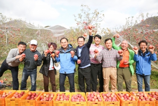 배내골 사과따기 봉사활동 내용보기 배내골 사과따기 봉사활동 대표이미지