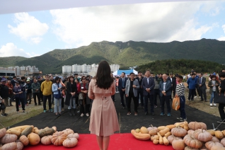 2019 양산호박축제 대표이미지