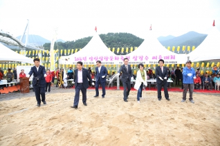 삼장수 씨름대회 대표이미지