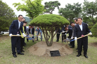 양산시 채무제로 기념식수 대표이미지