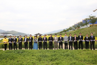 2013 유채꽃향연 내용보기 2013 유채꽃향연 대표이미지