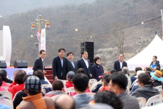 제10회 원동 매화 축제 내용보기 제10회 원동 매화 축제 대표이미지