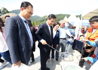 2015 양산체험수학전 대표이미지