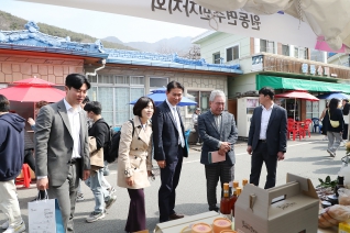 2023 양산원동매화축제 대표이미지