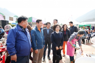 제9회 원동매화축제 대표이미지